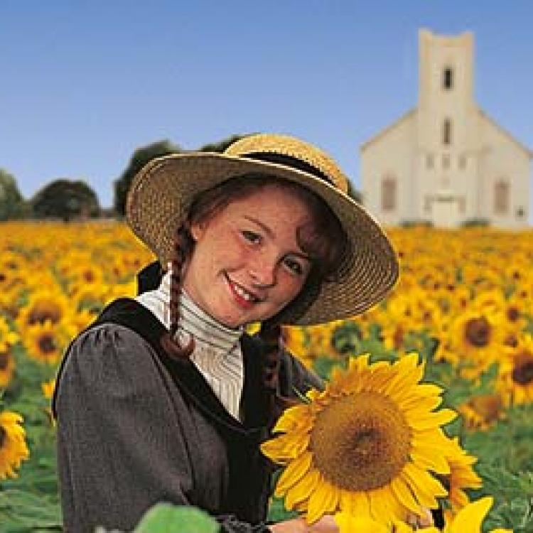 Photo of Anne of Green Gables in a field of Sunflowers